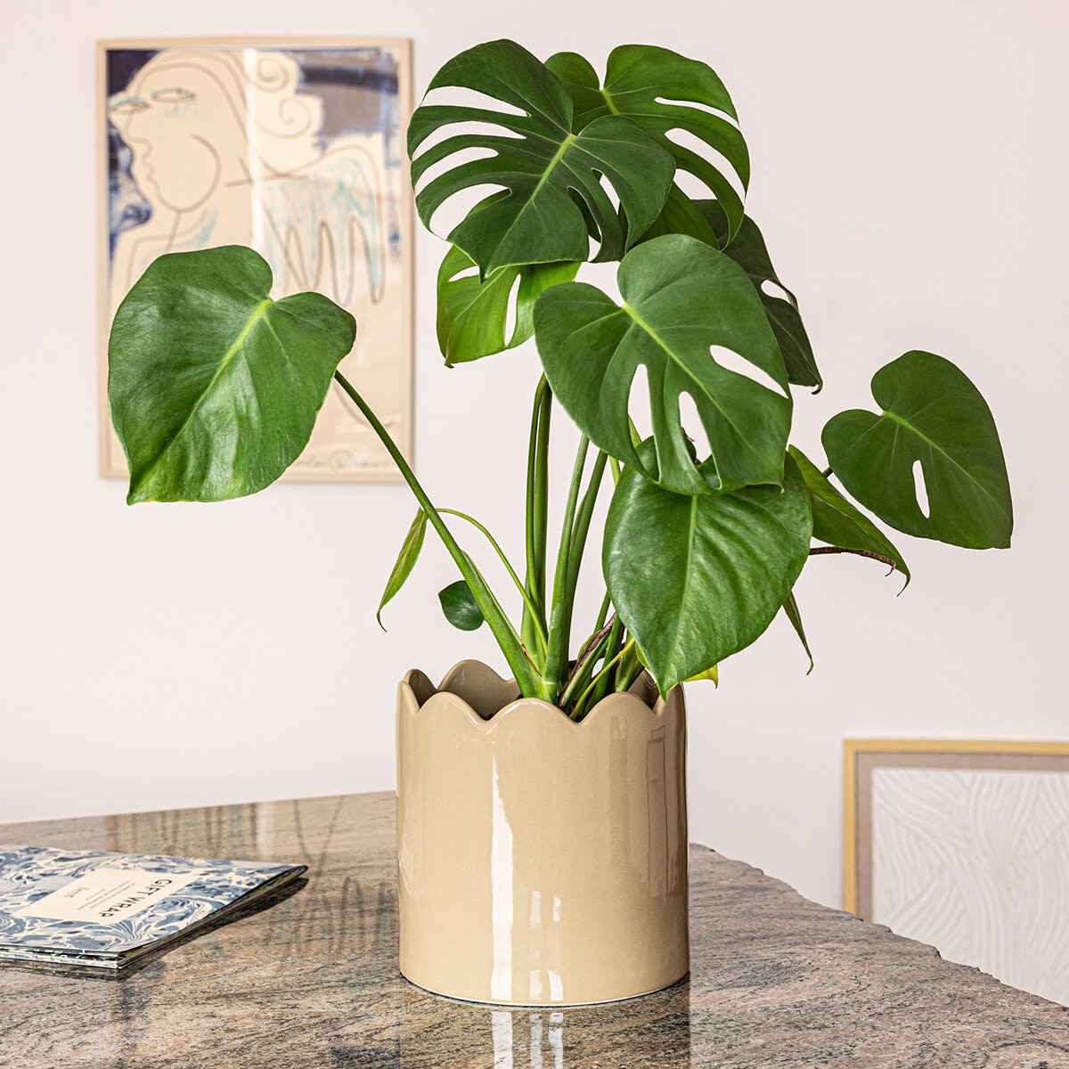 Over & Back, Inspiration Set de 2 Macetas Beige