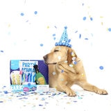 Bark Kit de Fiesta para Mascotas 4 pzs