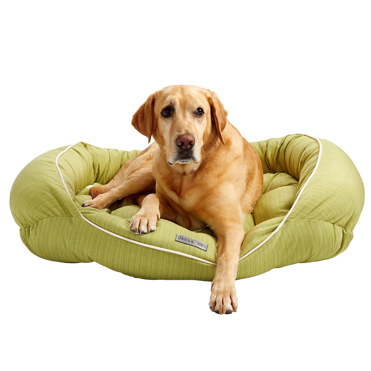 Jax & Bones Cama para Perro