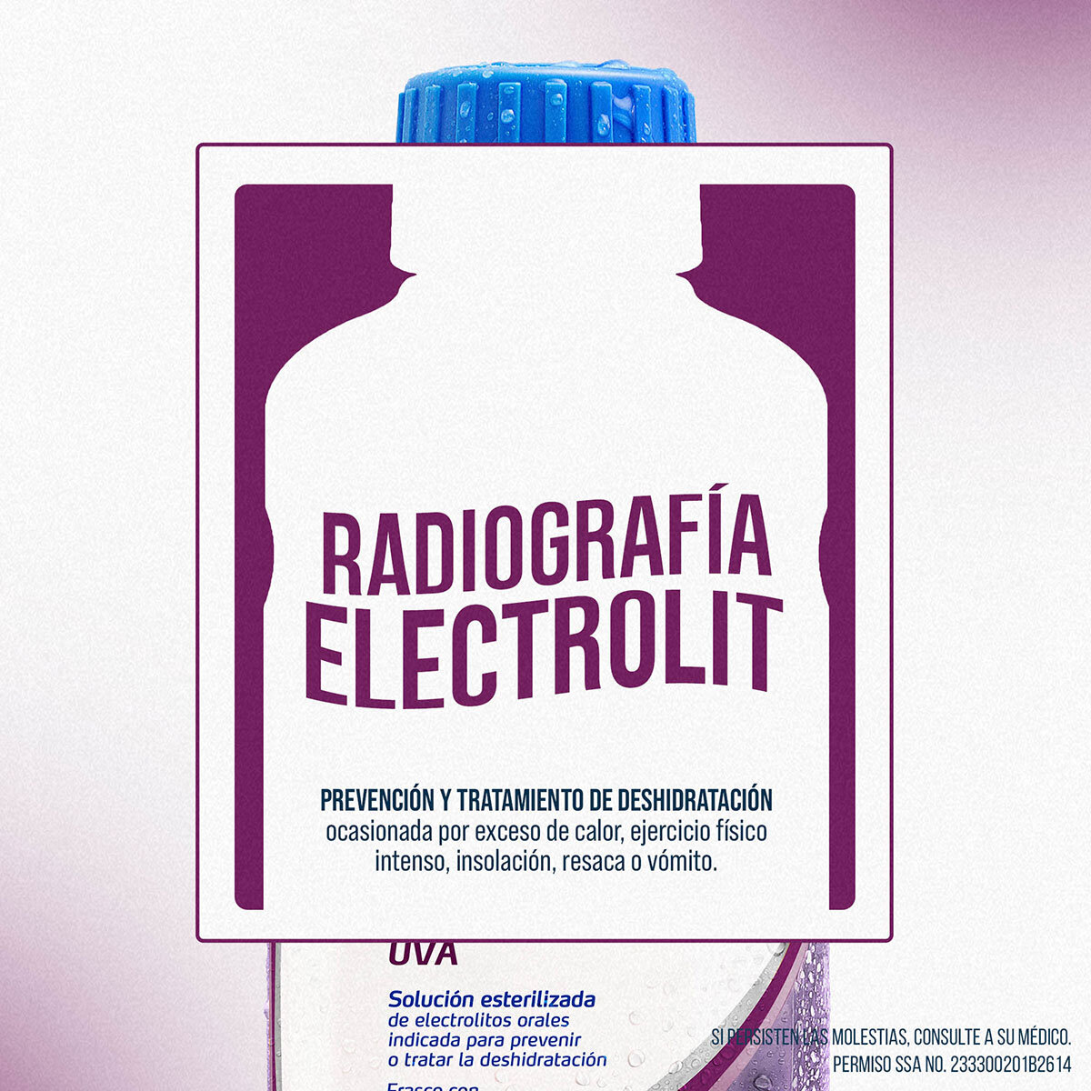 Electrolit 6pk Uva, Coco y Mora 625 ml