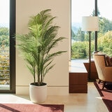 CG Hunter, Palmera Artificial
