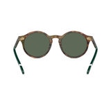 Polo Ralph Lauren 0PH4204U50177153 Lentes de Sol