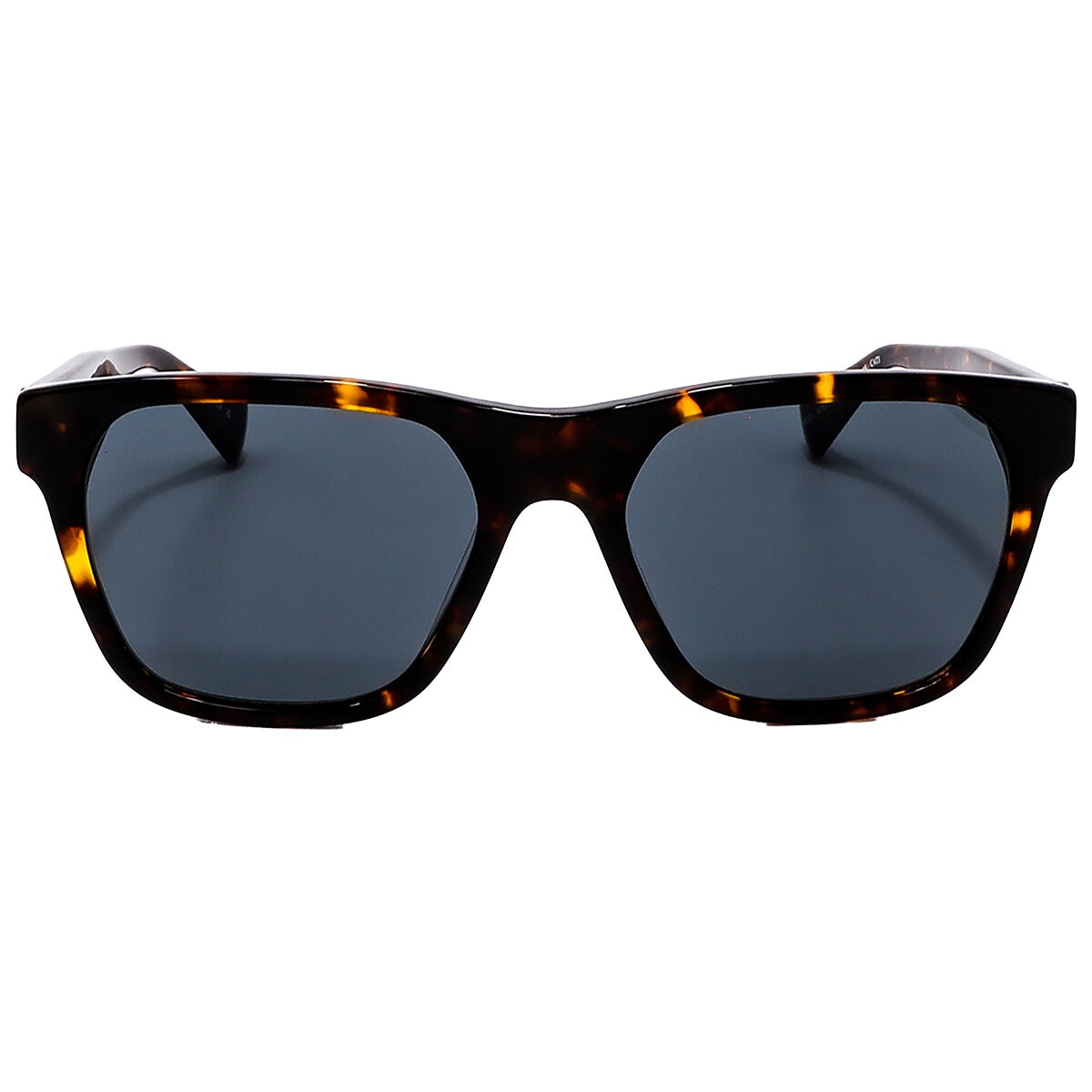 All Saints SAS.05021.0155.55 Lentes de Sol