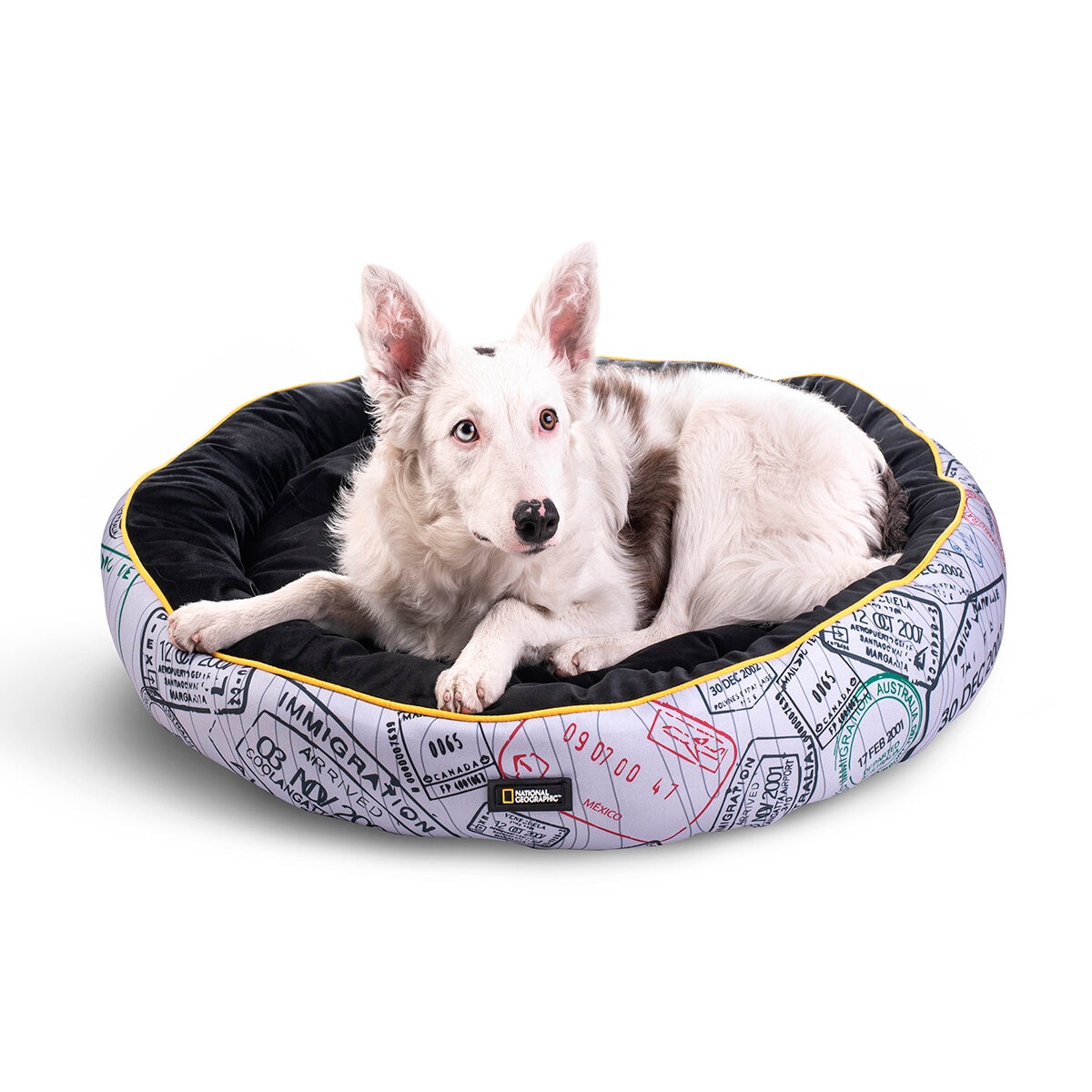 National Geographic Apolo Cama para Perro Passport Extra Grande