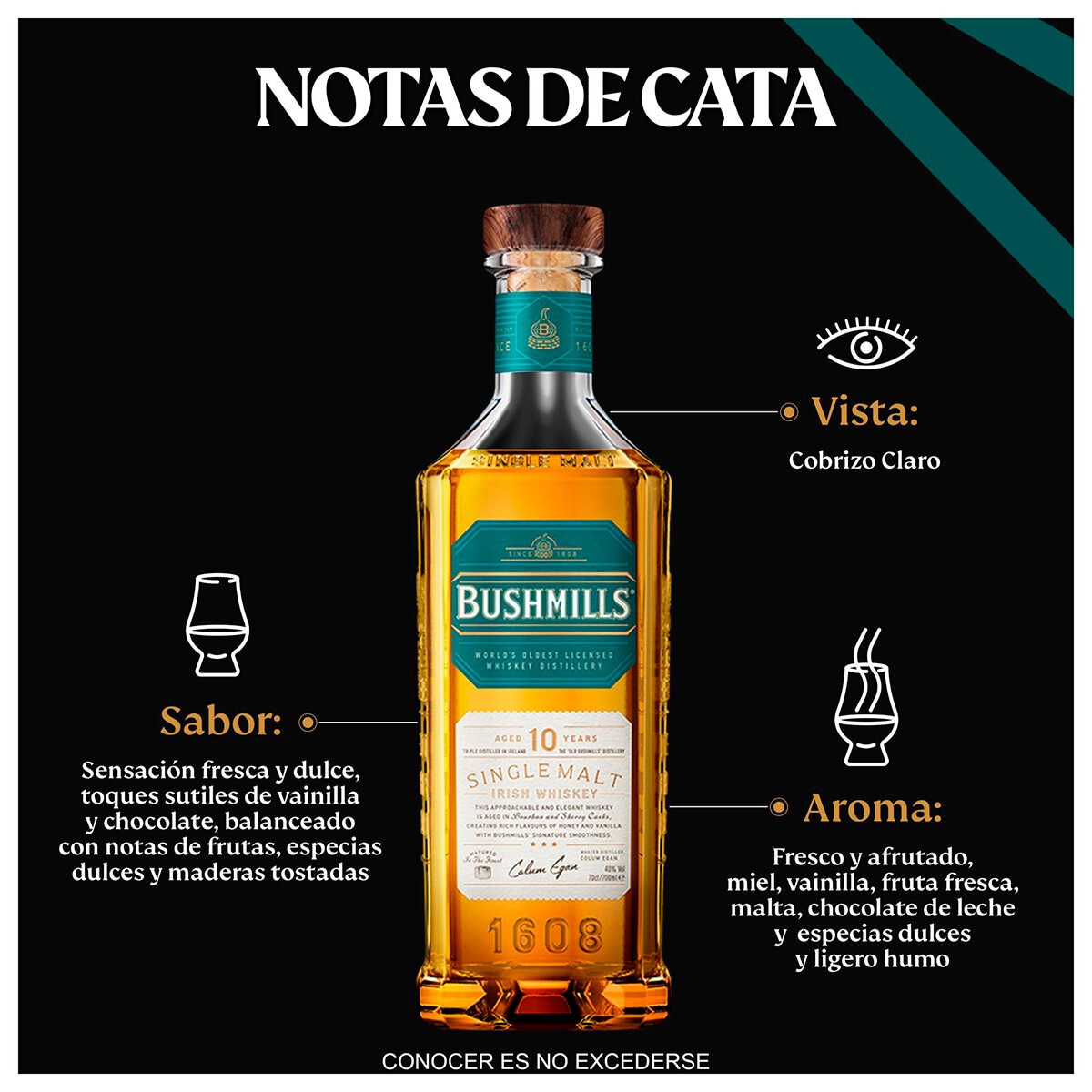 Whiskey Bushmills 10 años 750ml