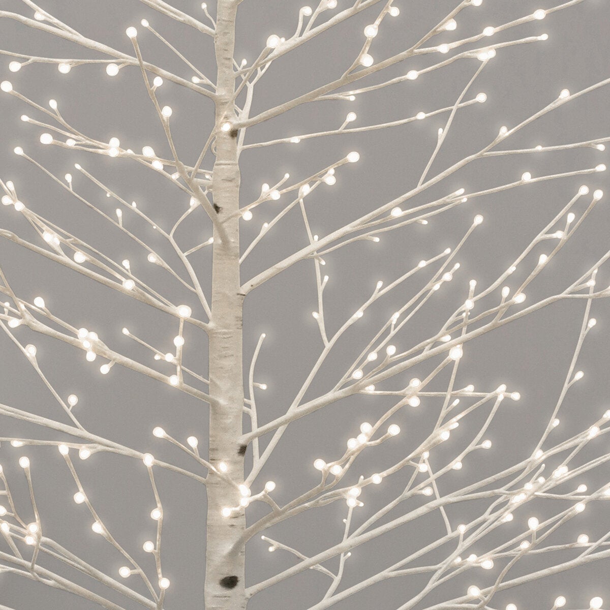 Árbol de Abedul con Luz LED. 2.3m Árbol de Abedul con Luz LED. 2.3m