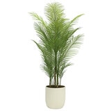 CG Hunter, Palmera Artificial