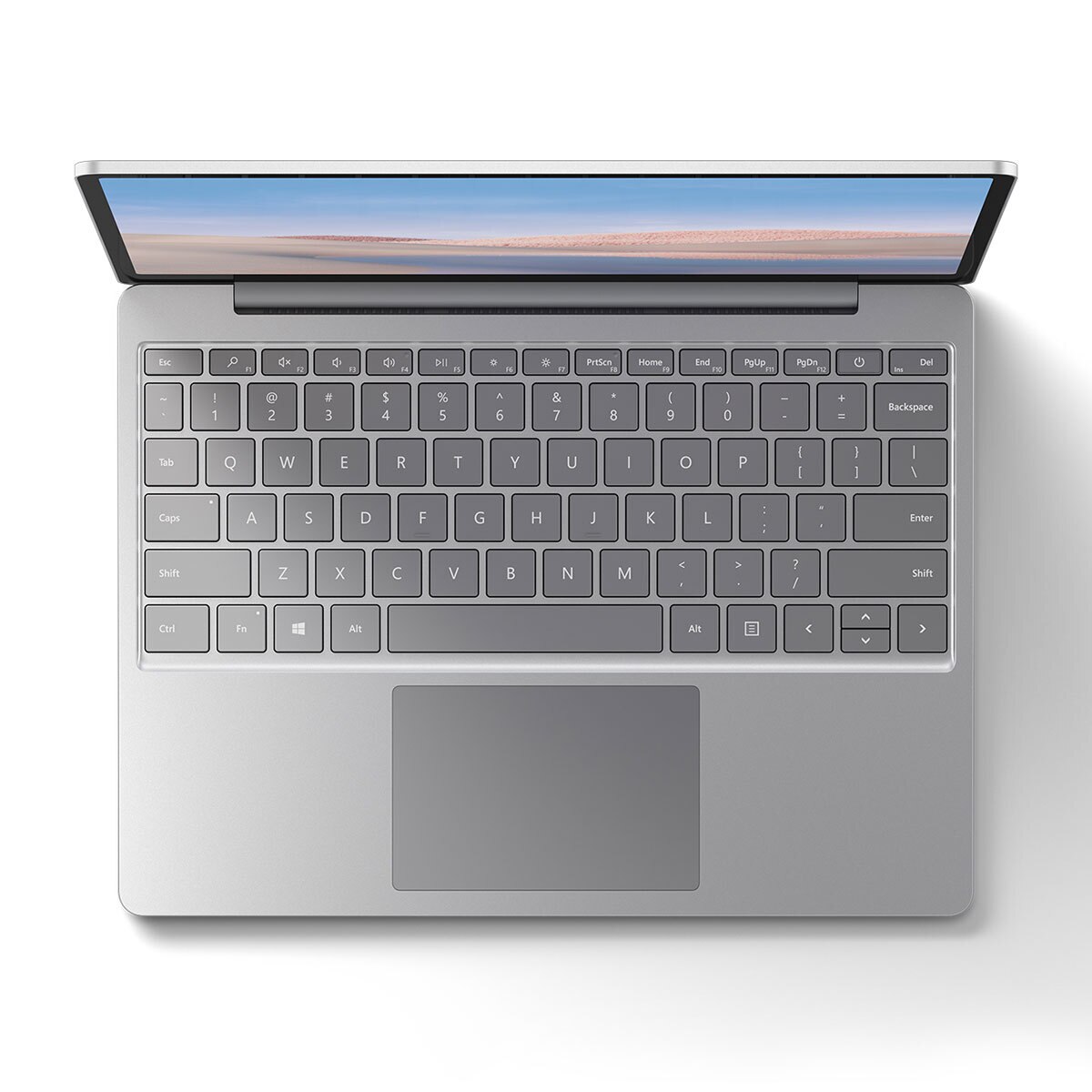 Microsoft Surface Laptop Go  12.4" Platinum Intel® Core i5 8GB 128GB + Microsoft 365 Personal