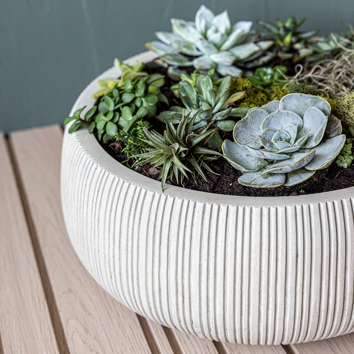 Over & Back, Pillarbloom Maceta de Fibra de Arcilla Blanca