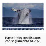 Sony Cámara Digital Mirrorless APS-C ILCE-6100K + Lente SELP16502
