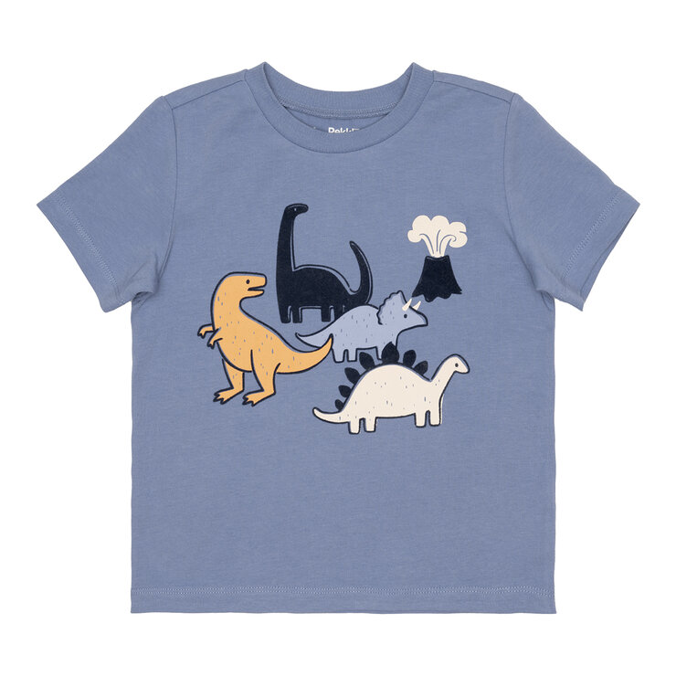 Pekkle Conjunto 4 piezas para Niños y Niñas Dinosaurios 18 Meses Pekkle Conjunto 4 piezas para Niños y Niñas Dinosaurios 18 Meses