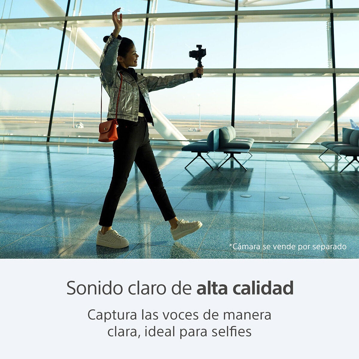 Sony Micrófono Inalámbrico ECM-G1