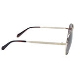 Fossil Lentes de Sol Polarizados