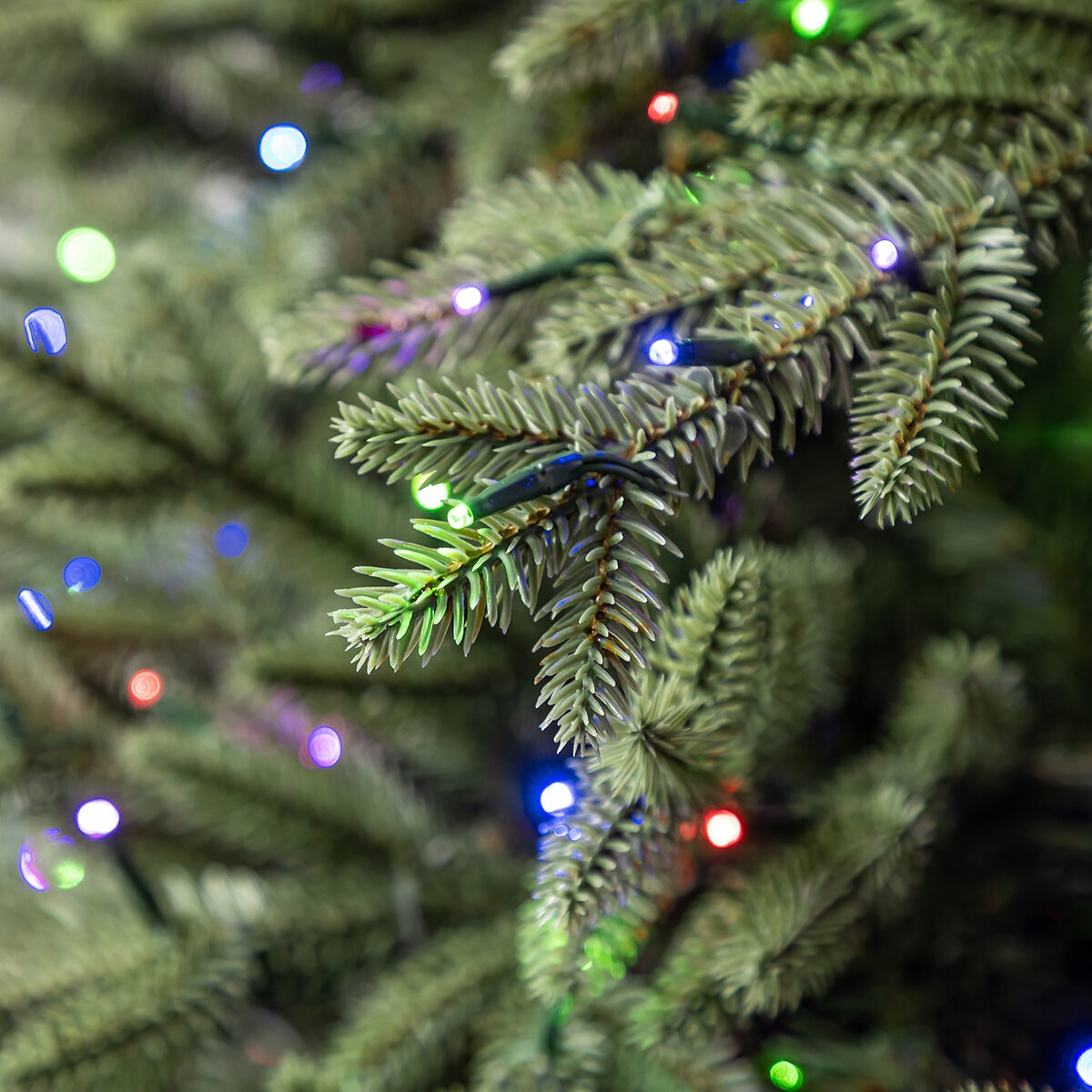 Árbol de Navidad Pre-Iluminado 4.5m con 6,000 Luces Radiant Micro LED