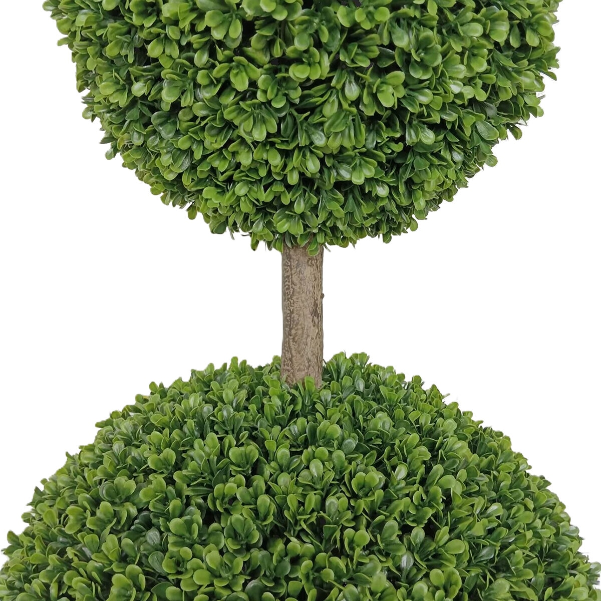 CG Hunter, Árbol Topiario de Boj de Aspecto Natural