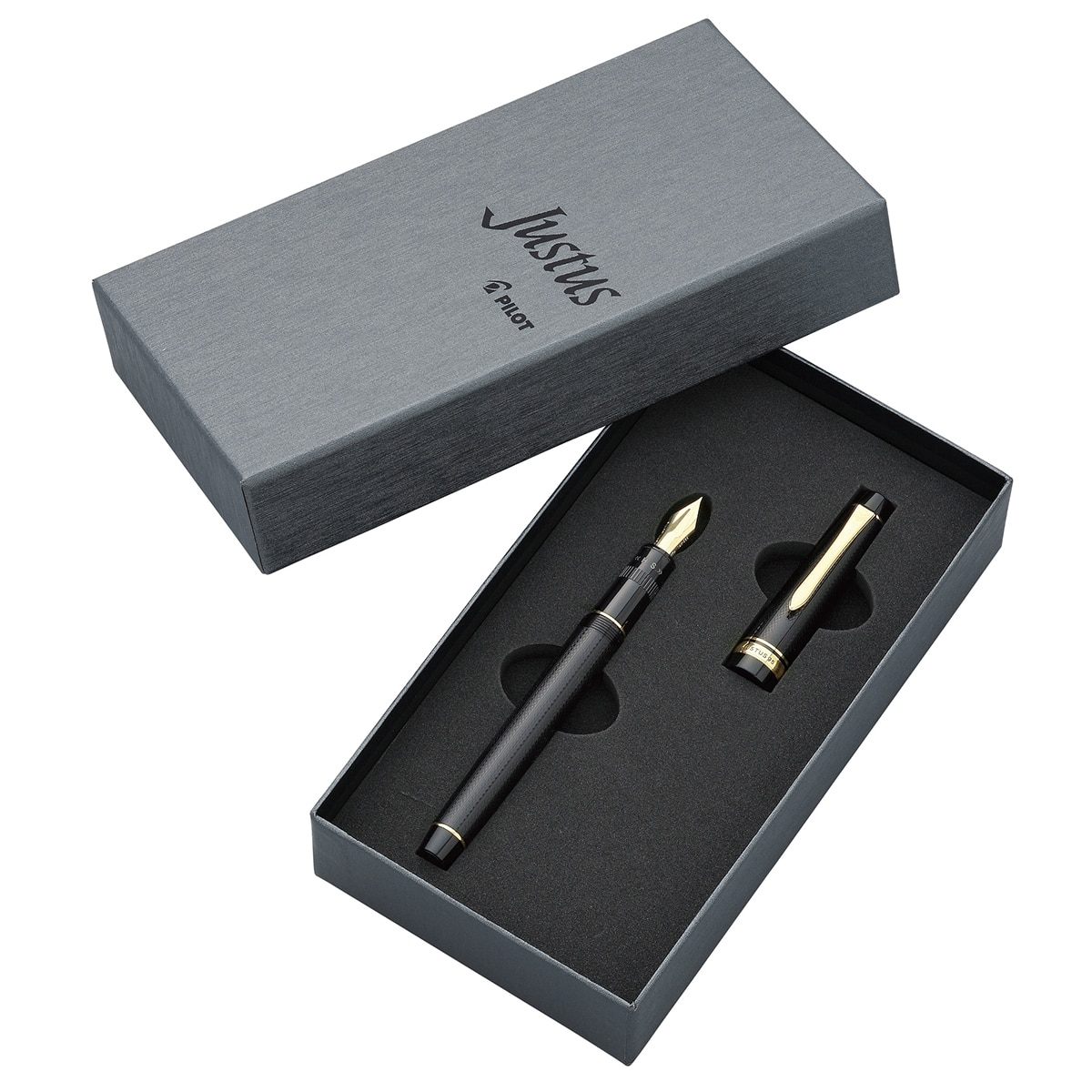 Pilot Justus pluma fuente punto mediano ajustable, plumilla de oro 14k