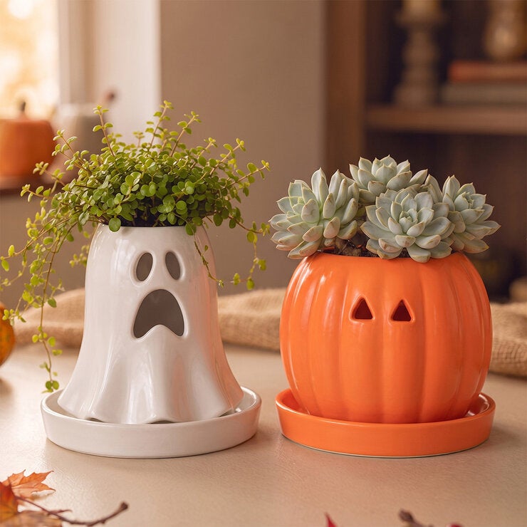 Estudio Floga, Macetas Tipo Halloween de Cerámica 2 piezas, Varios Diseños Estudio Floga, Macetas Tipo Halloween de Cerámica 2 piezas, Varios Diseños
