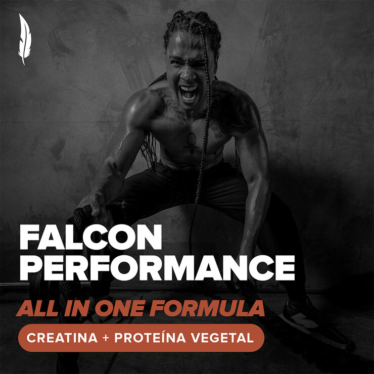 Birdman Falcon Performance Proteína Vegetal Sabor Chocolate 2.1 kg