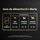 Cesar Alimento Húmedo para Perro Multisabor 24 pzas de 75 gr