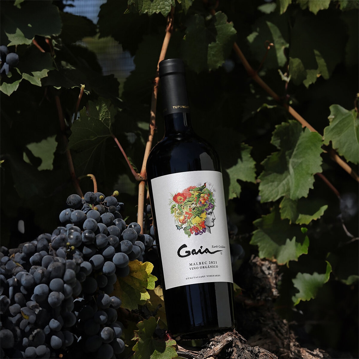 Vino Tinto Gaia Malbec Orgánico 750 ml