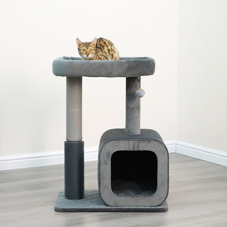 Eclipse Árbol para Gatos