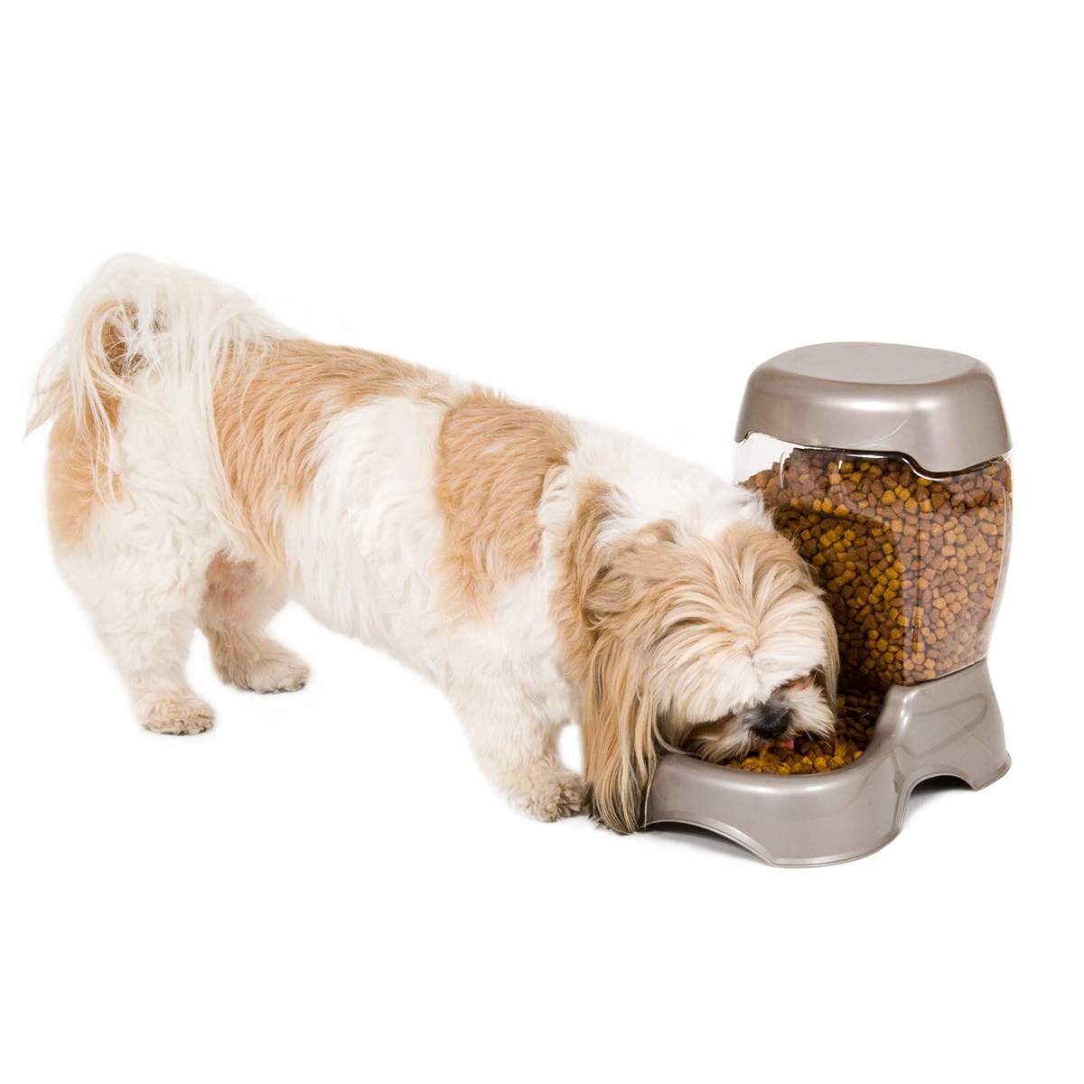 Petmate Despachador de Alimento y Agua para Mascotas