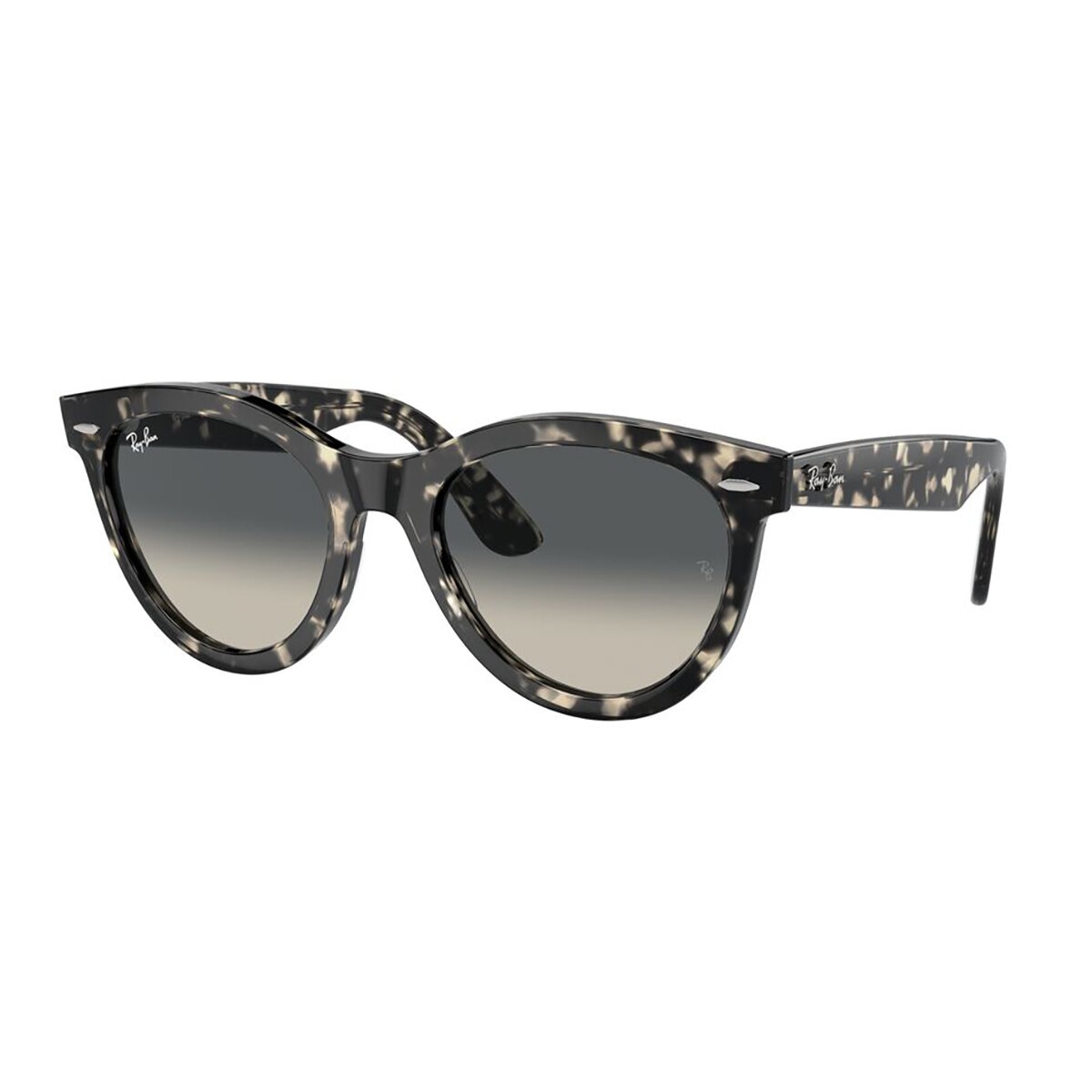 Ray Ban 0RB224113337154 Lentes de Sol