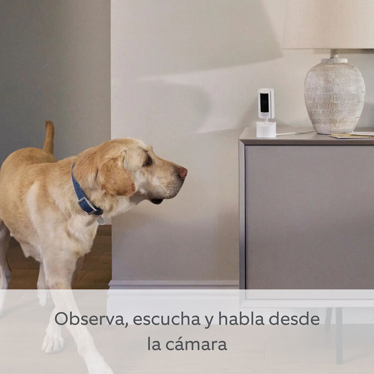 Ring, Kit de Cámaras, Exterior Inalámbrica + Interior Móvil