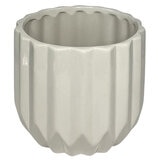 PREVENTA Chiltepec, Orquidea Sorpresa con Maceta para Día de las Madres