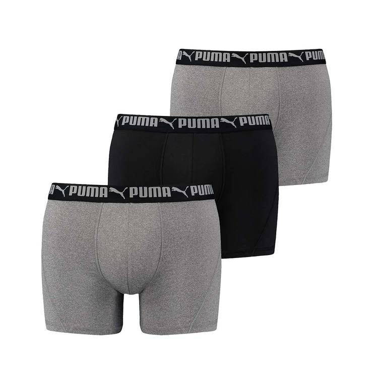 boxer puma boxer puma