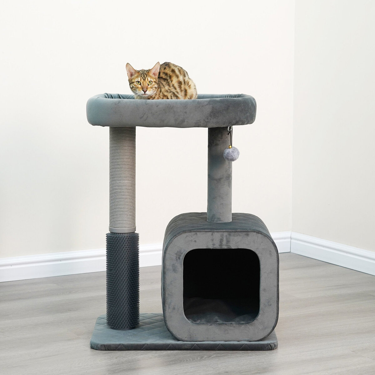 Eclipse Árbol para Gatos