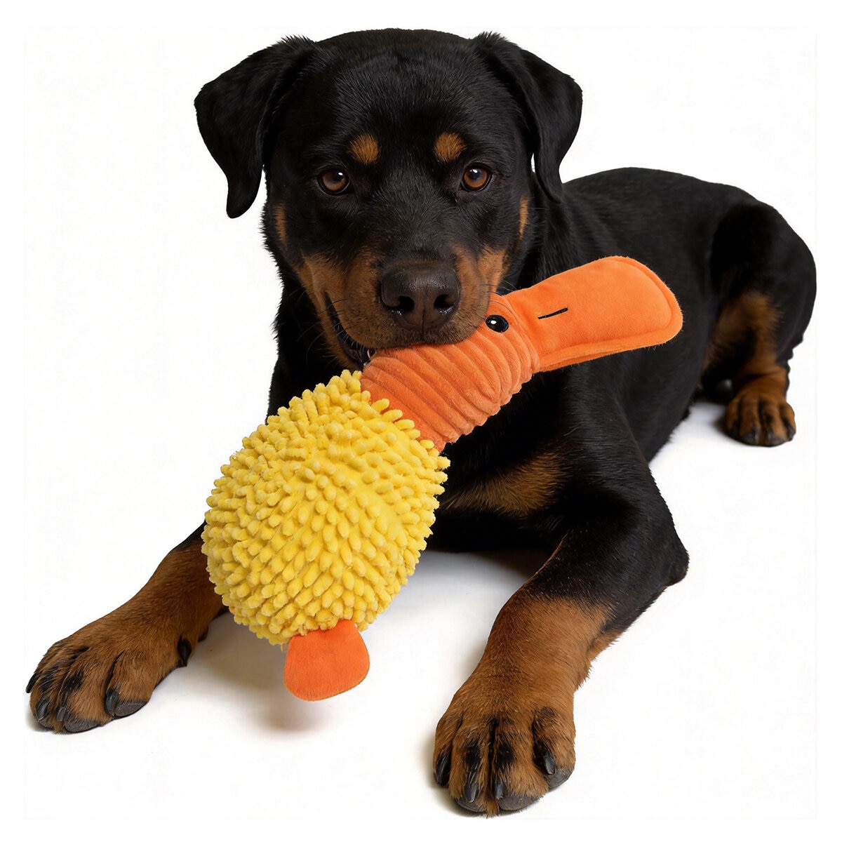 Hugfun Juguetes para Perro 3 pzas