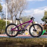 Bicicleta de Montaña R20 Alubike Siera Morada