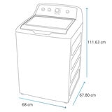GE Lavadora Top Load 22Kg
