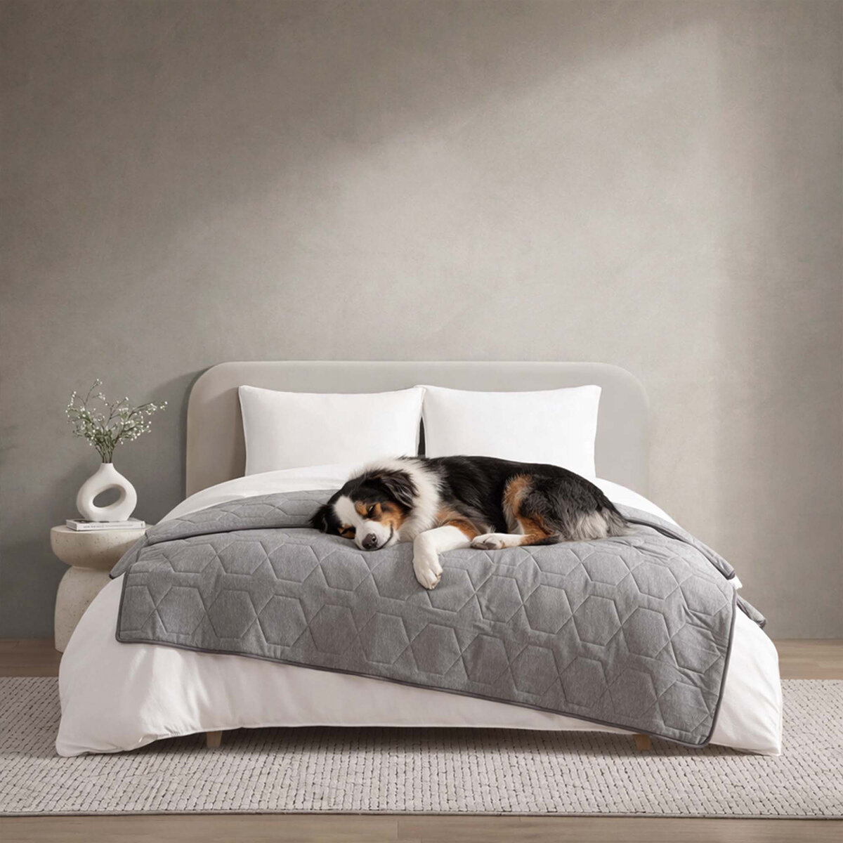 Sealy Funda Protectora para Mascotas Sealy Funda Protectora para Mascotas