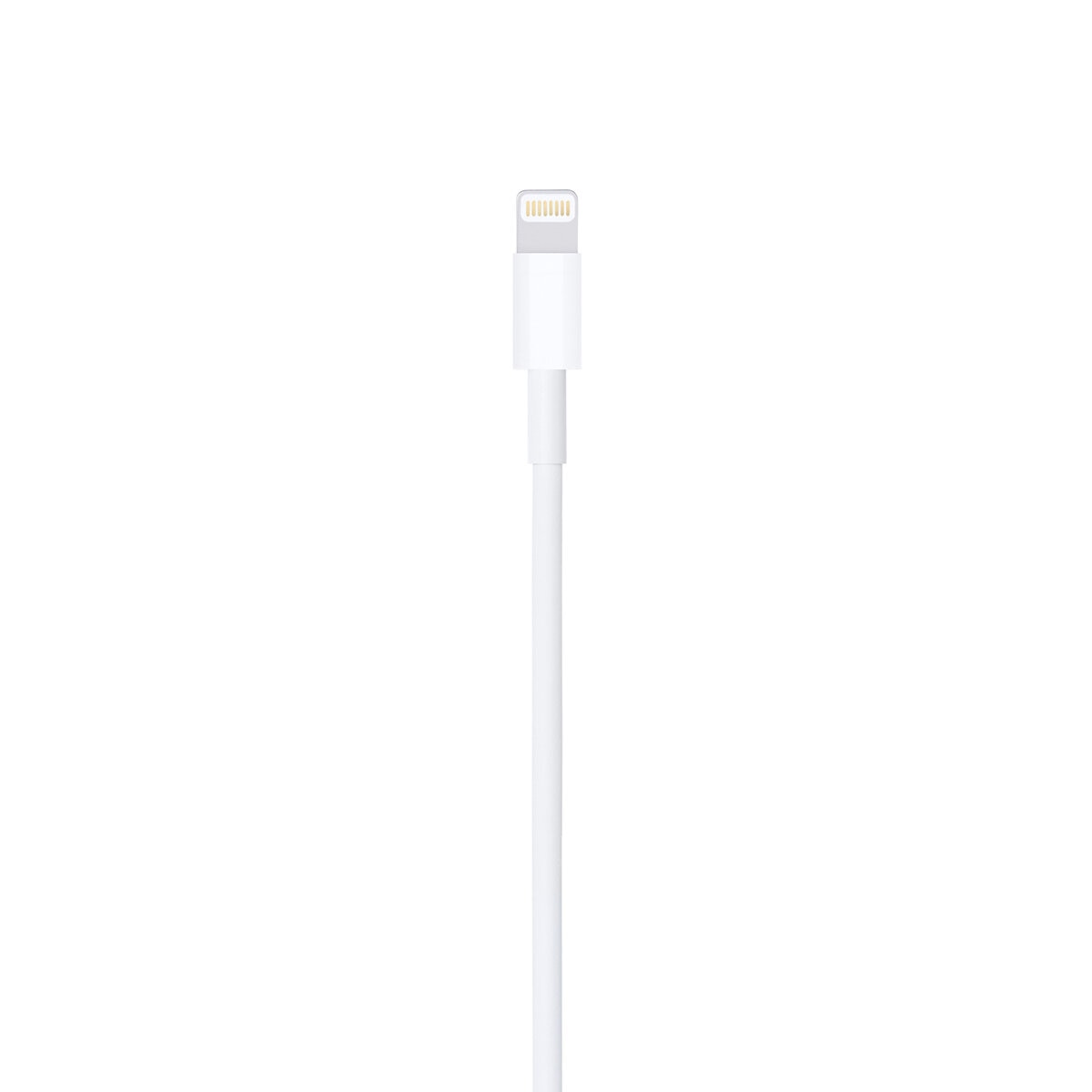 Apple Cable de Lightning a USB (0.5m)