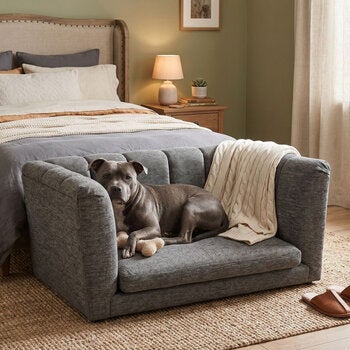 Maypet, Sofa para Mascota, Color Gris, Capacidad hasta 20 Kg Maypet, Sofa para Mascota, Color Gris, Capacidad hasta 20 Kg