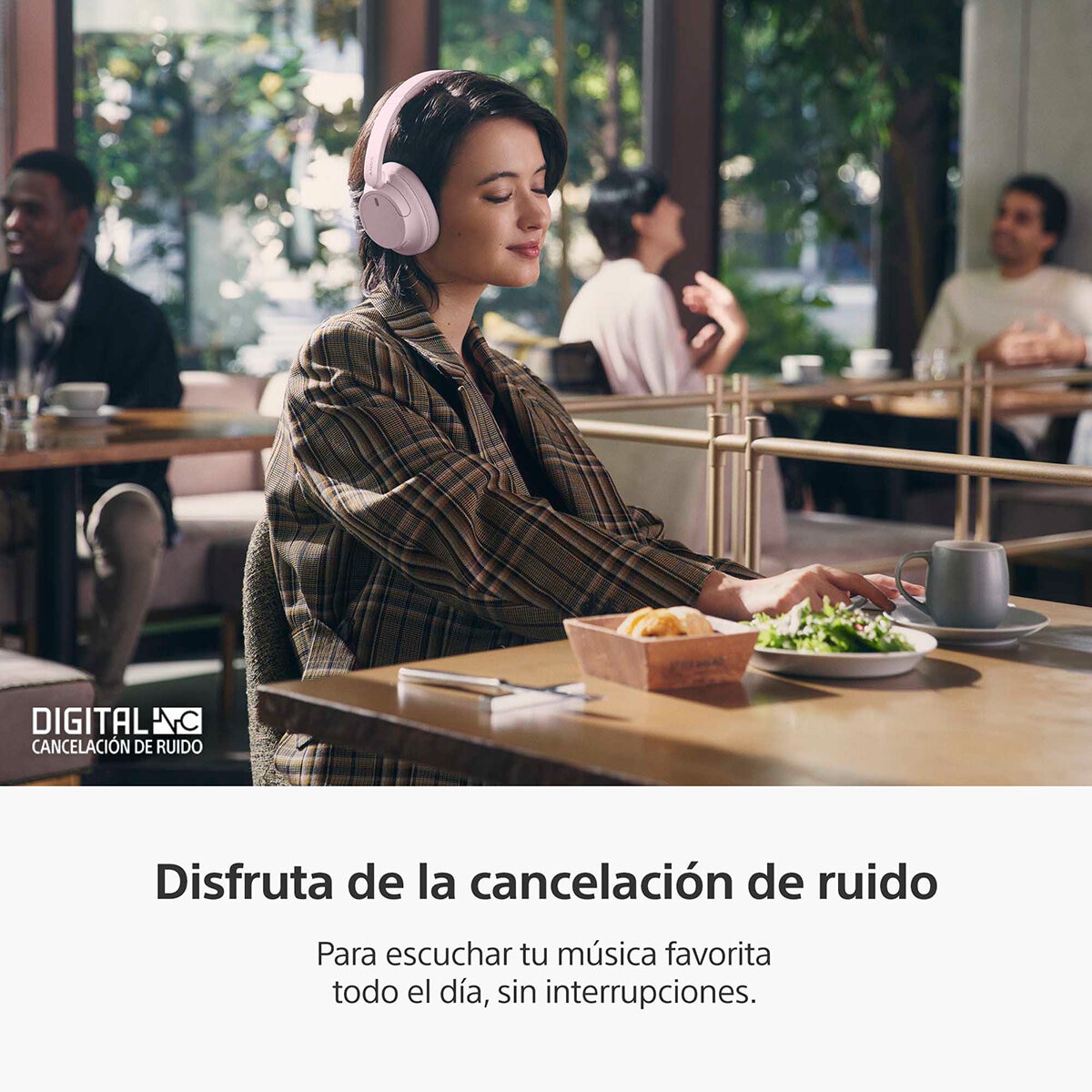 Sony Audífonos Inalámbricos WH-CH720N/BZ Rosa