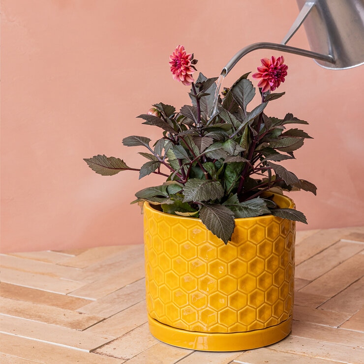 Over & Back, Set de 2 Macetas de Jardín con Platos