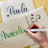 Zebra Caja Especial Lines & Lights