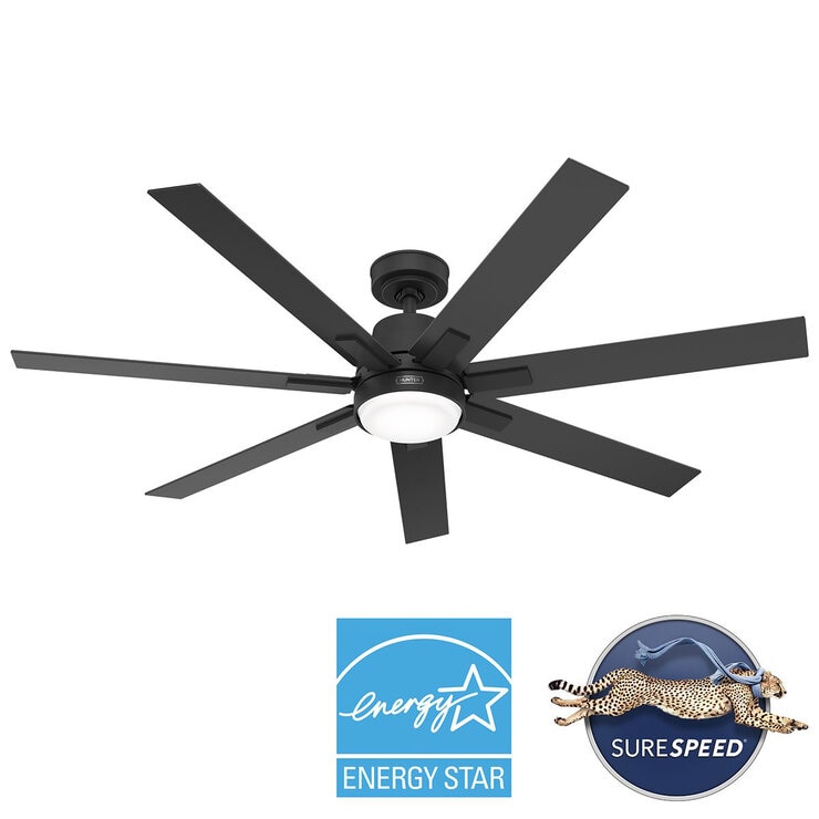 Hunter, Ventilador Loflin Color Negro