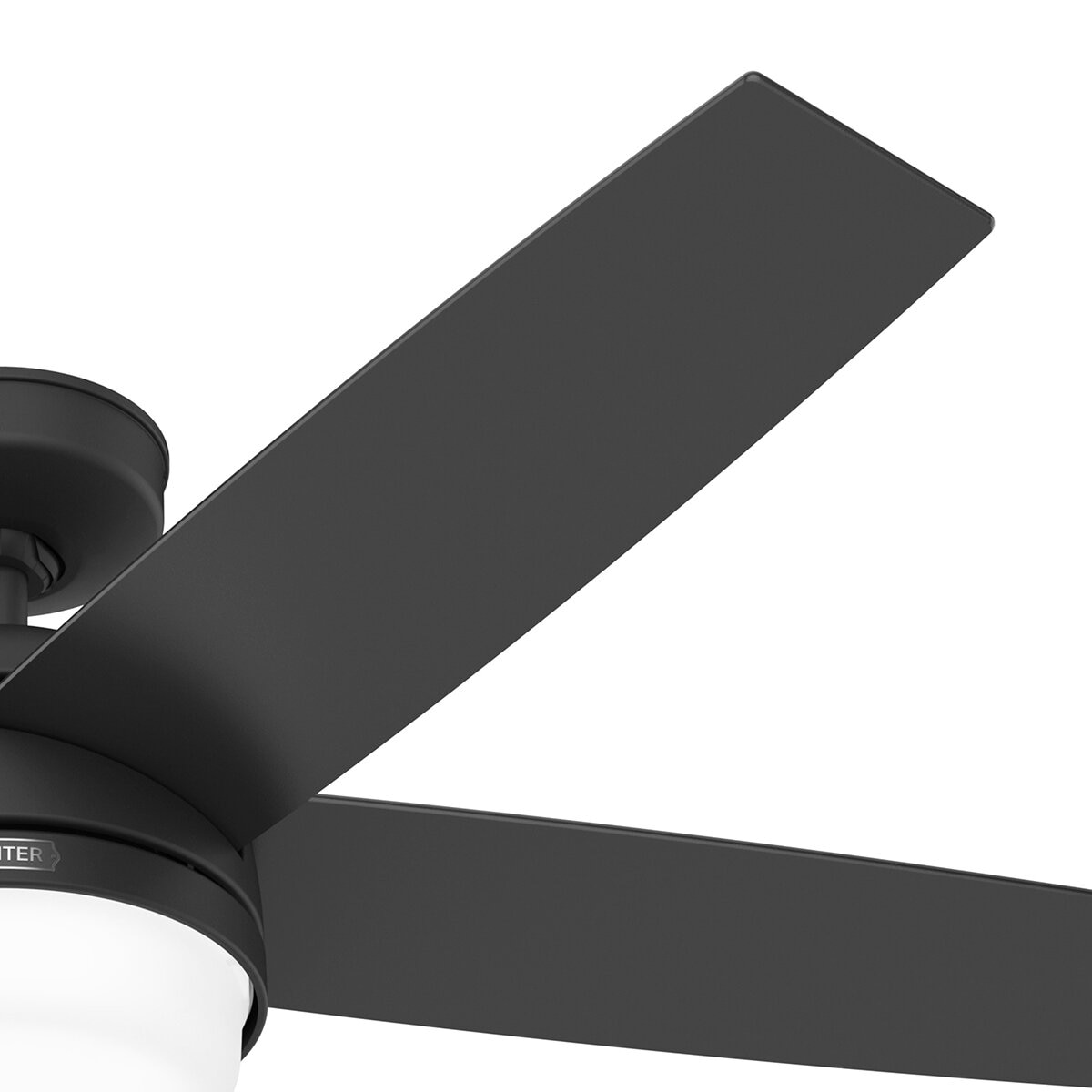 Hunter, Ventilador Asheville 52¨