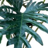 Apariencia Natural, Garra de León Artificial Apariencia Natural, Garra de León Artificial