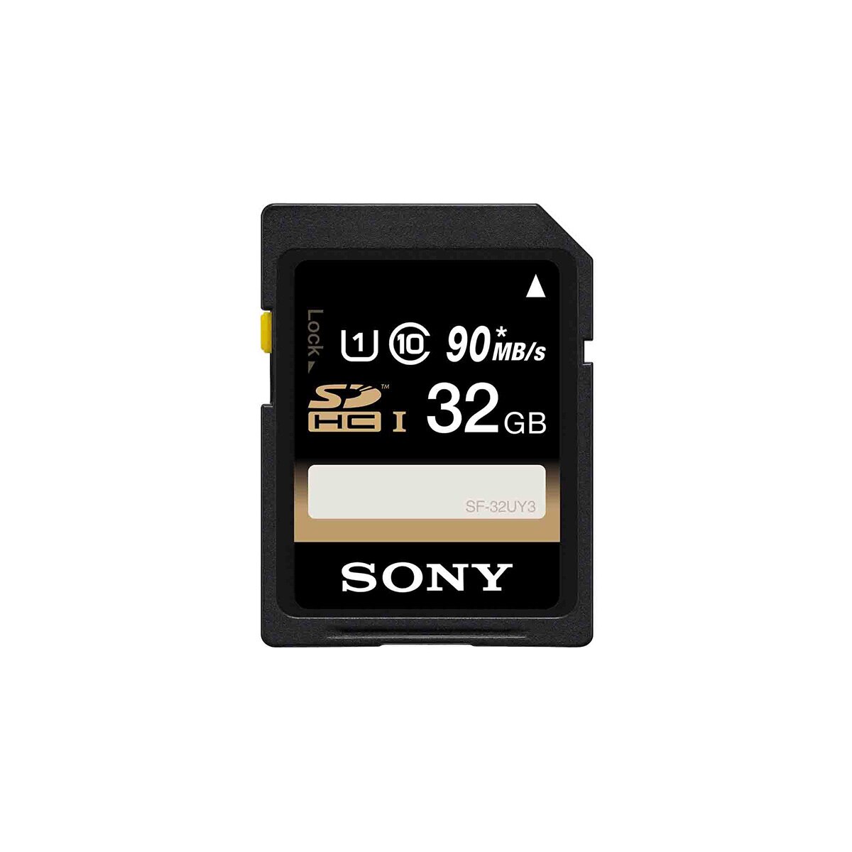 Sony Kit ILCE-6100Y +Estuche + Memoria