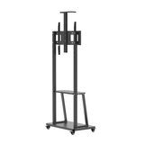 Blackrock Soporte de Pedestal para Pantallas 37" a 80" Blackrock Soporte de Pedestal para Pantallas 37" a 80"