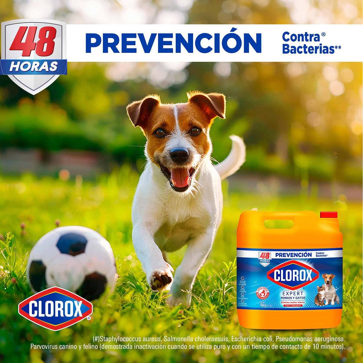 Clorox Expert Perros y Gatos Desinfectante 10 kg