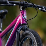 Bicicleta de Montaña R20 Alubike Siera Morada