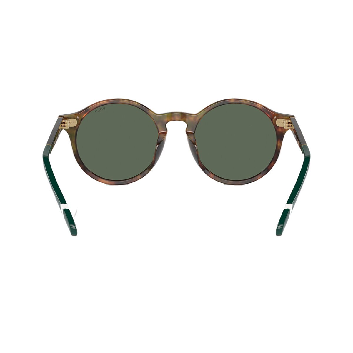 Polo Ralph Lauren 0PH4204U50177153 Lentes de Sol