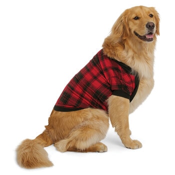 Eddie Bauer Suéter para Mascota Varias Tallas y Colores