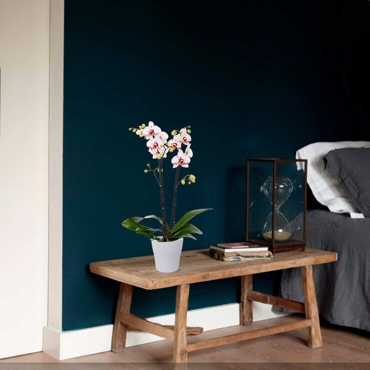 Chiltepec, Maceta de Cerámica Color Gris 3 pzs